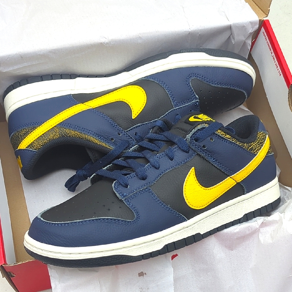 Nike Dunk Low Retro - Michigan - Size 10.5 ( FZ4014-010 )
